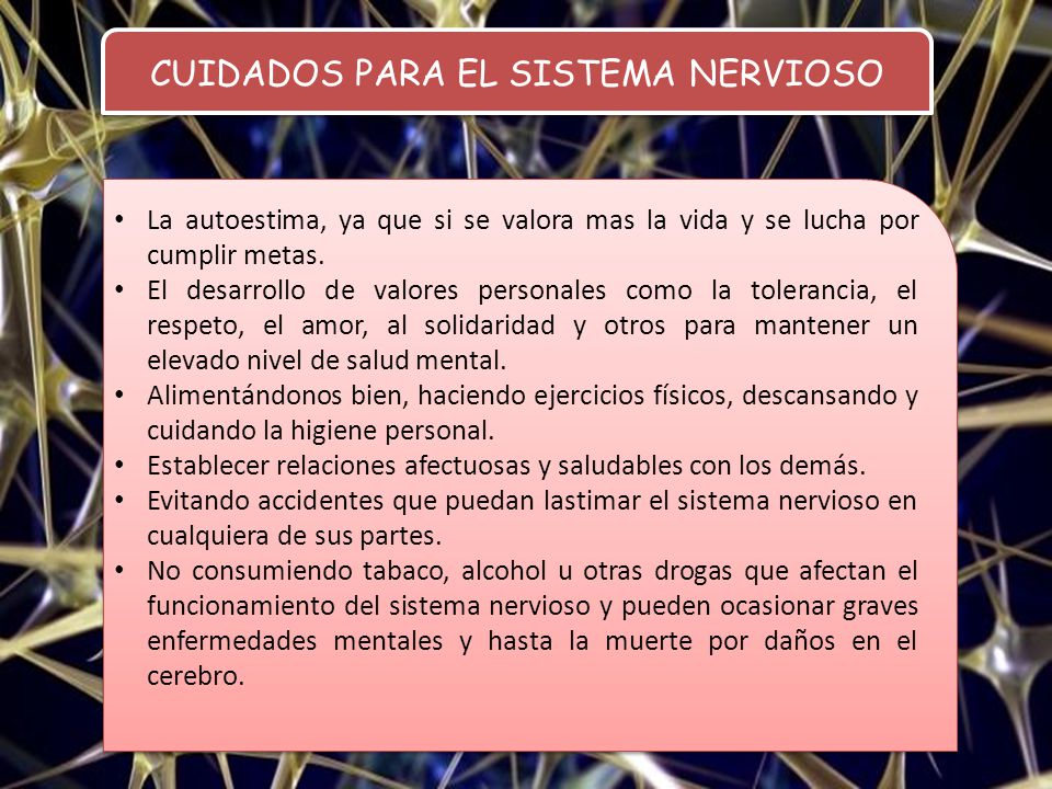 ENFERMEDADES DEL SISTEMA NERVIOSO Y COMO PREVENIRLAS ️ Mentalidad Humana